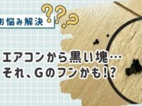 それ、ゴキブリのフンかも！？エアコンから出た黒い塊の見分け方と主婦でもできる虫対策